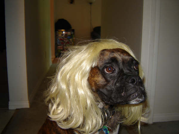 bruno