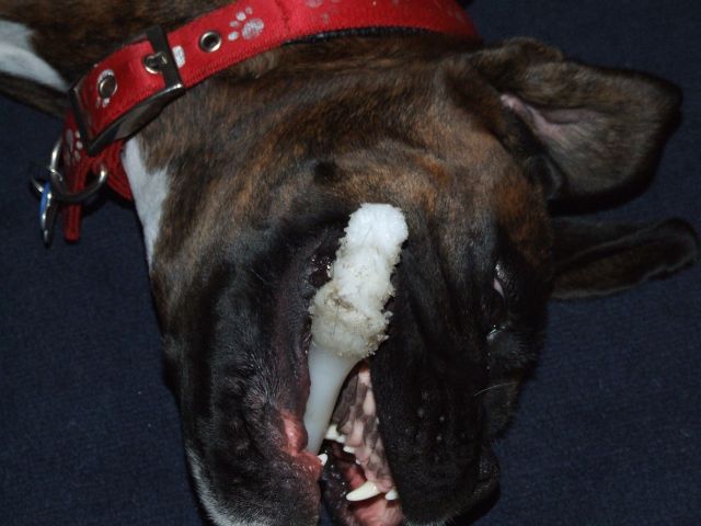 Bruno