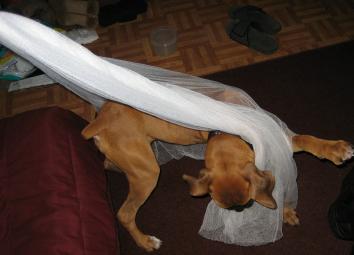 BrunoPlayin