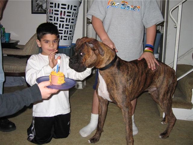 Bruno's 1st Birthday