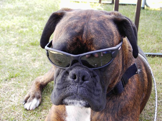 Bruno's holiday look