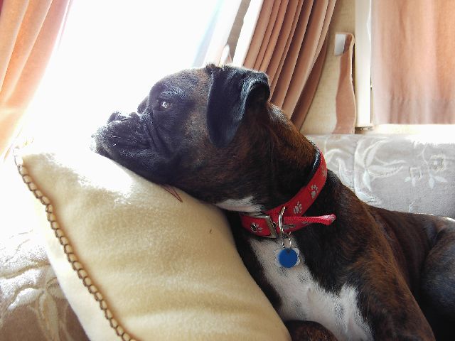 Bruno's look out post