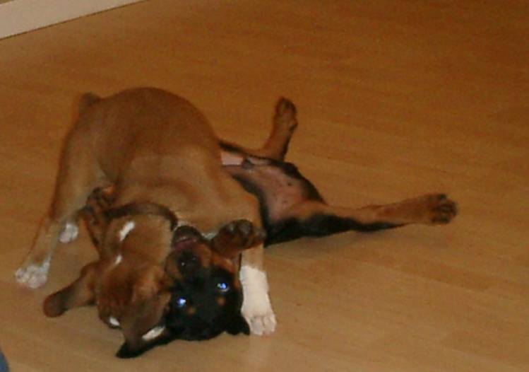 Brustis_and_Axel-5