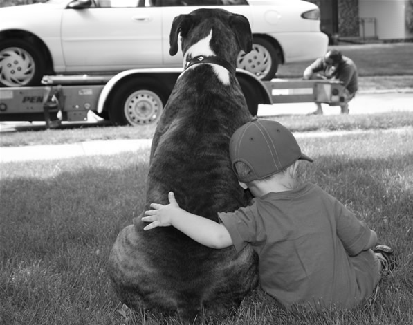 Brutus and Jake
