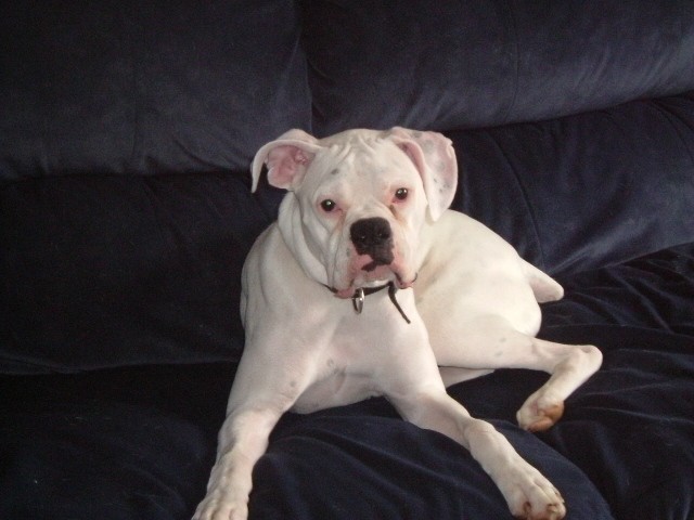 Bryson2