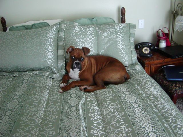 Bubbie Roo Relaxes!
