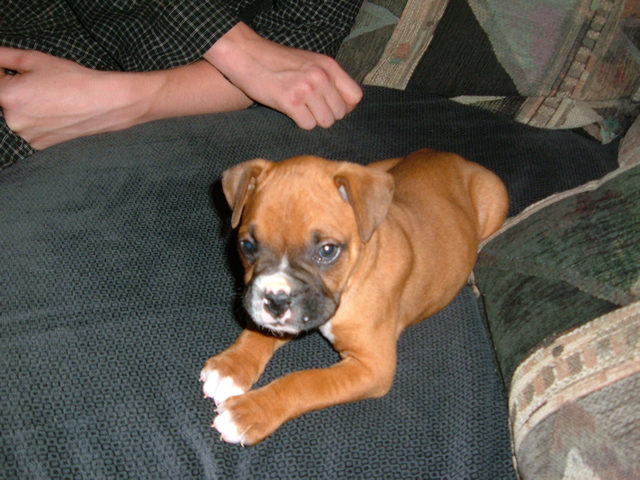 Bubbie Roo