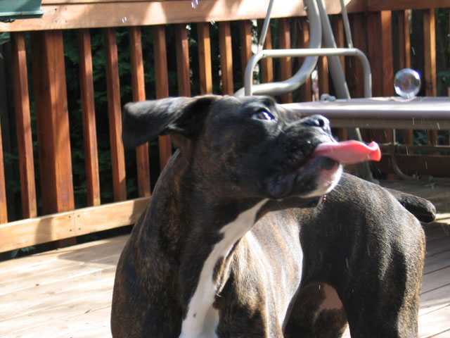 Bubbles!