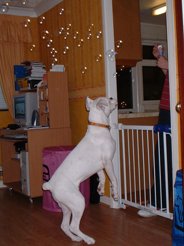 bubbles_3
