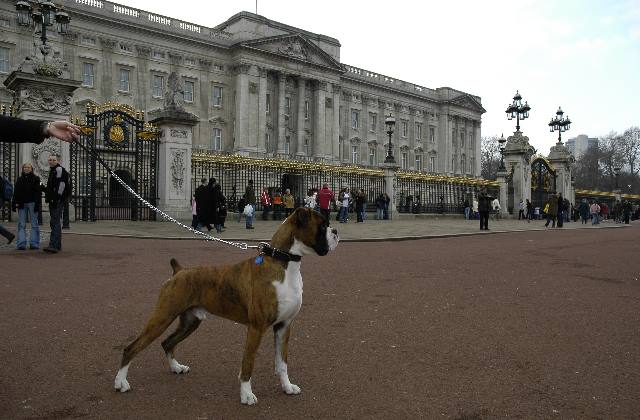 Buckingham Palace