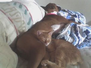 Bucky & Leila