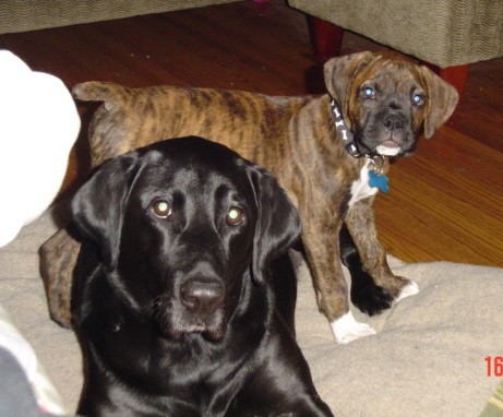 buddies 4 life!