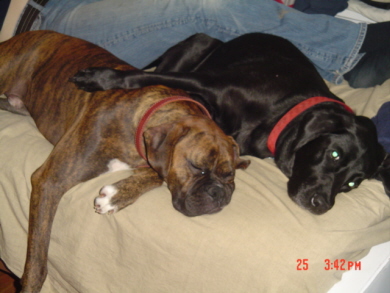 Buddies 4 life!