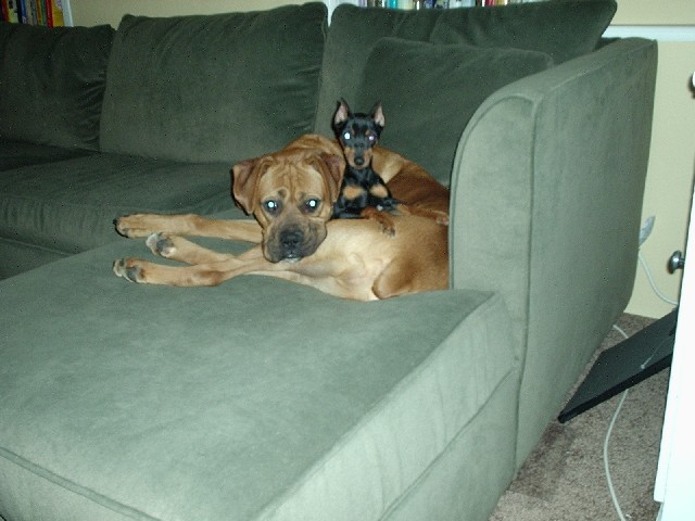 Buddies!