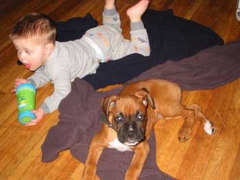 Buddies
