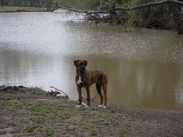 Buddy-7mo