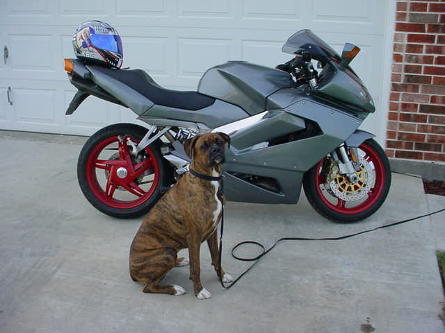 Buddy/bike