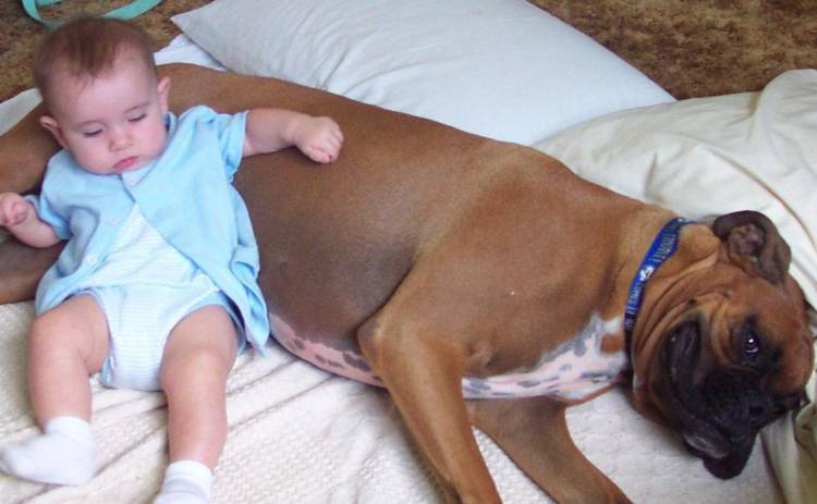 buddy & gina