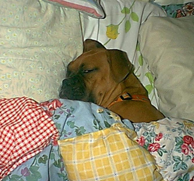 buddy out like a light