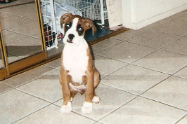 Buddy so cute