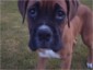 Buddy up close