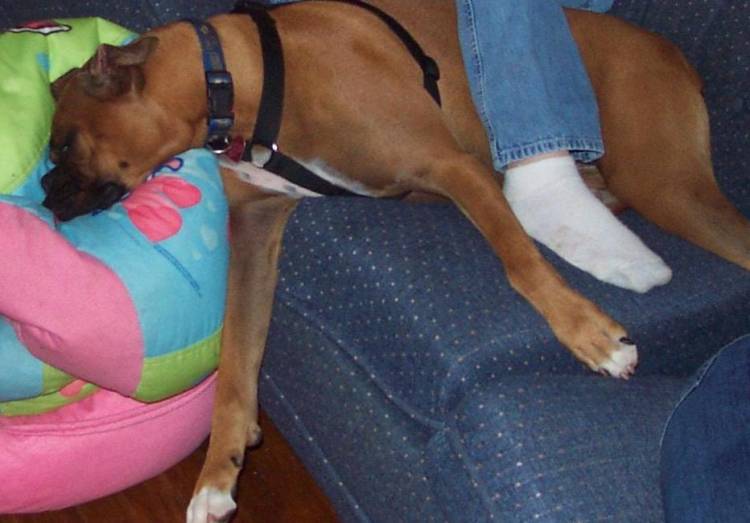 buddy  very relaxed