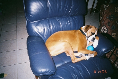 Buddy