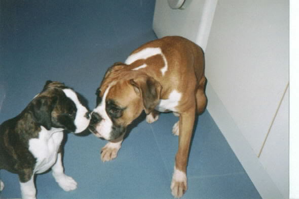 Buffy & Baby Spike