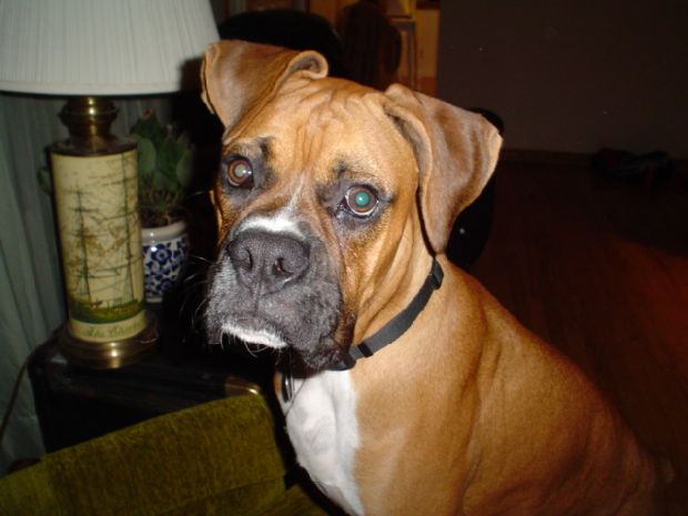 Buford_10-21-04