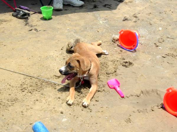 building sand castles