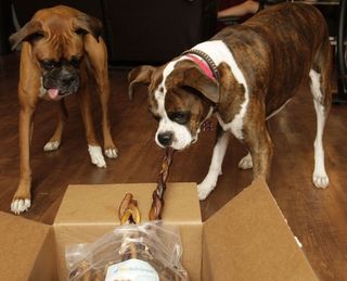 Bully Sticks