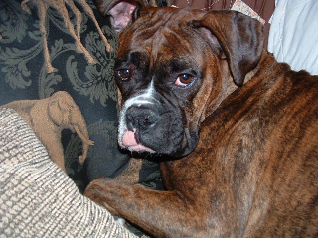 bummed-out_roxy