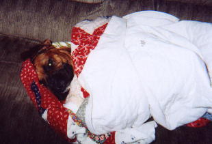 bundle of joy