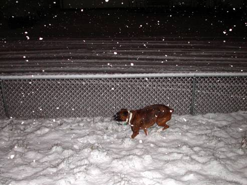 Burning in the snow