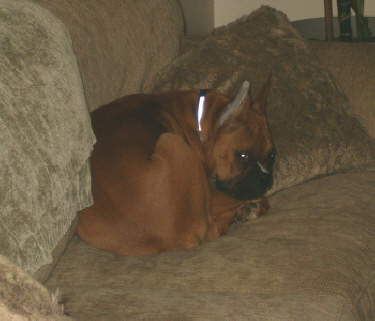 Busted!