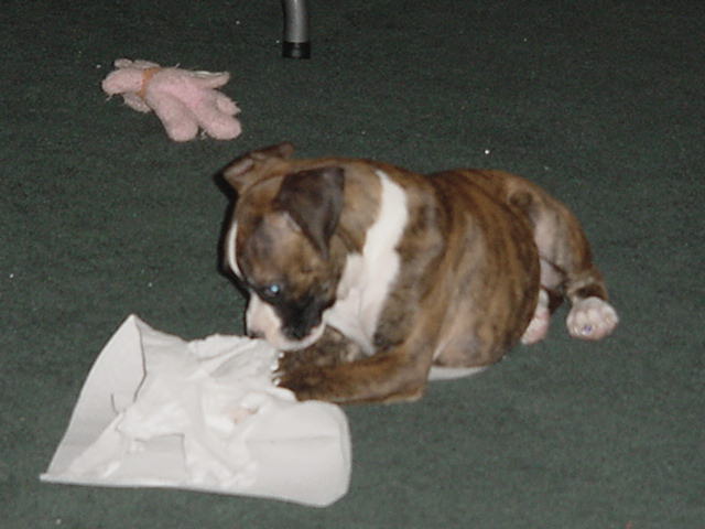 Busted!!