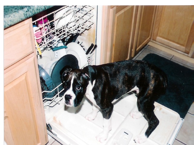 BUSTED!!
