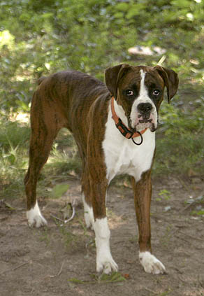 Buster All Grown Up!