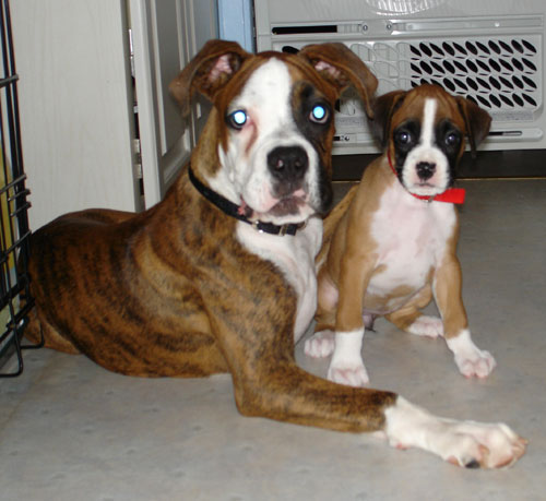 Buster and Bonnie