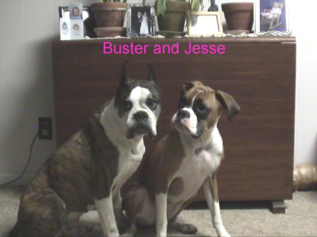 Buster and Jesse