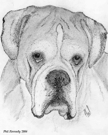 Buster in Pencil 2006