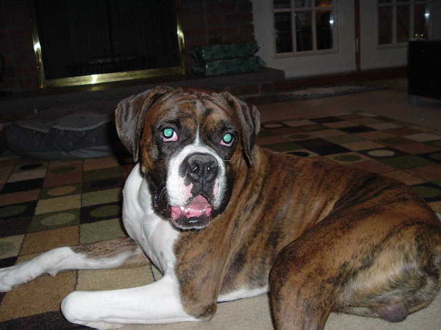 Buster Nov 06