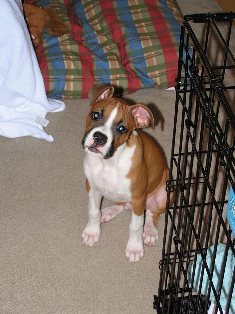 Buster sad