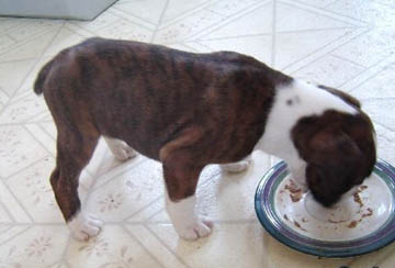 Buster Standing