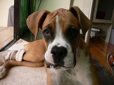 Buster yesterday!!!