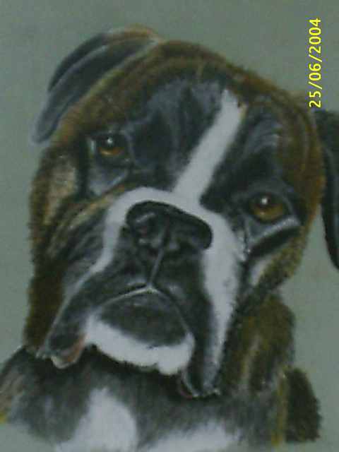 Buster