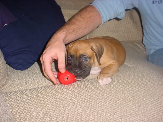 Buster