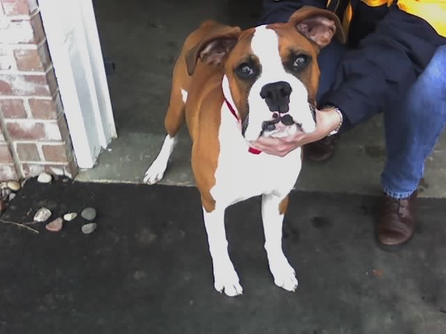 Buster
