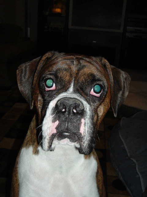 buster