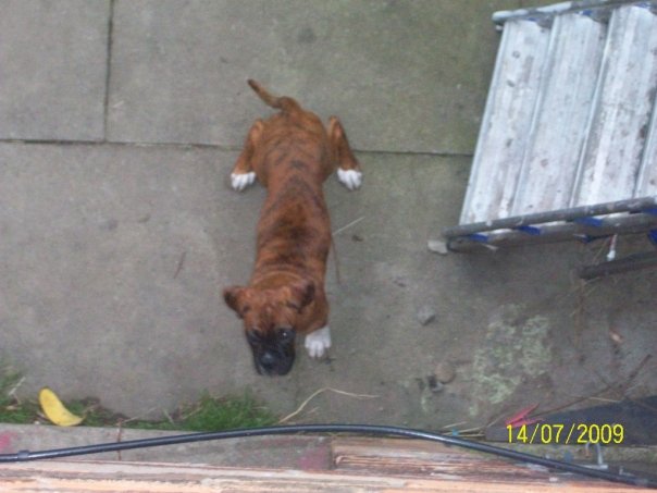 Buster9